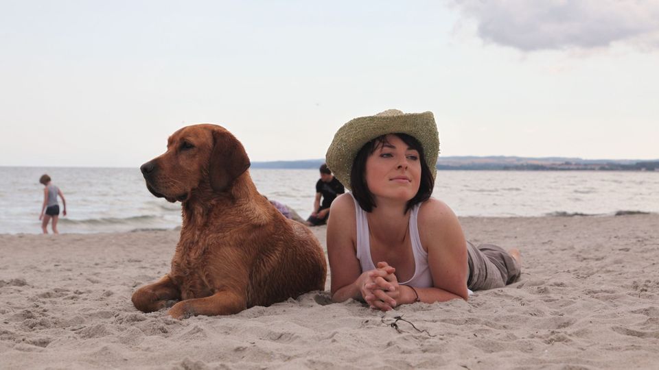 Urlaub mit Hund Insel Rügen Urlaub, Sehenswürdigkeiten, Hotels